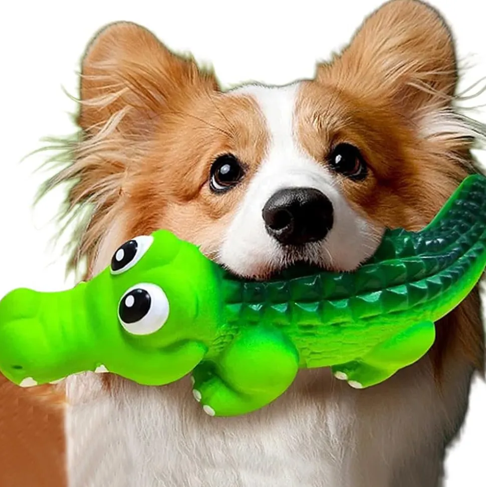 DTOPBUYAGE - Jouet à mâcher pour chien - en caoutchouc indestructible