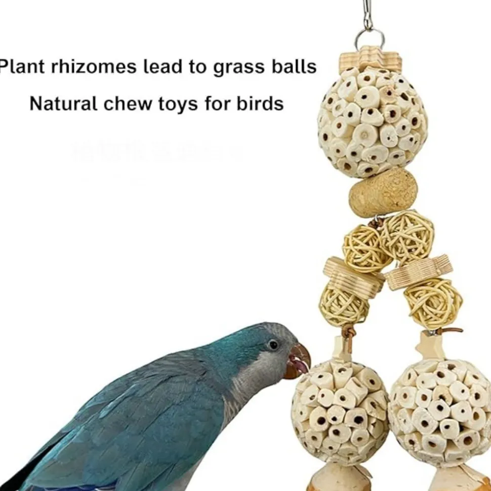 DTOPBUYAGE - Jouet naturel suspension perroquet