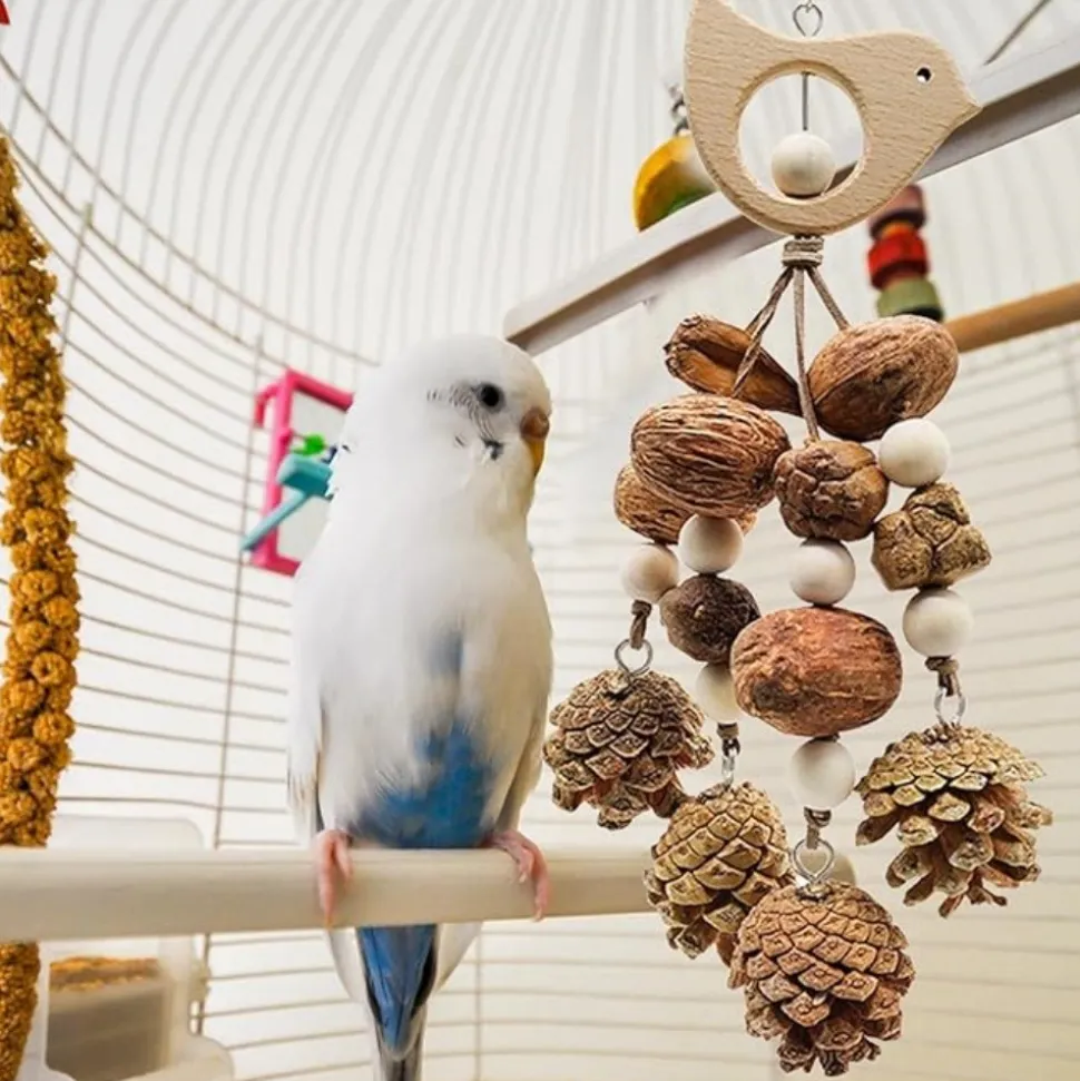 DTOPBUYAGE - Jouets mâcher oiseaux bois pomme pin