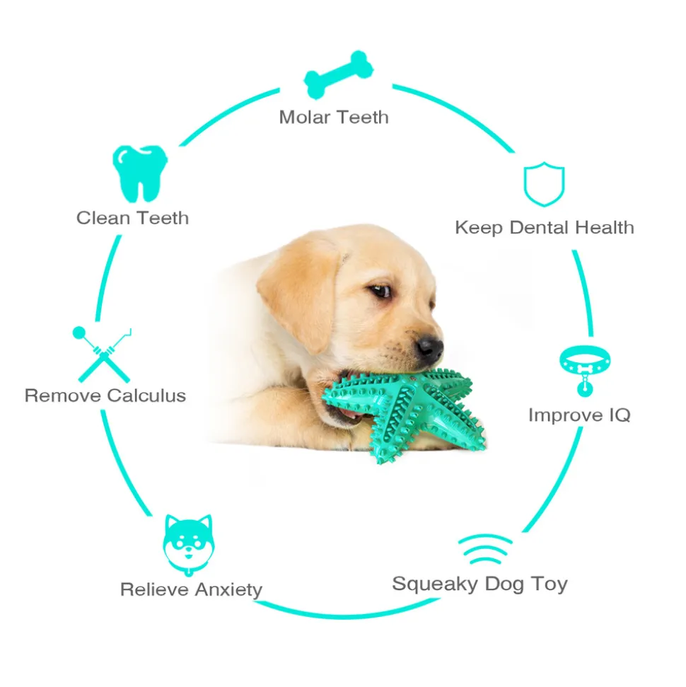 DTOPBUYAGE - Jouets pour chien en forme d'étoile de mer