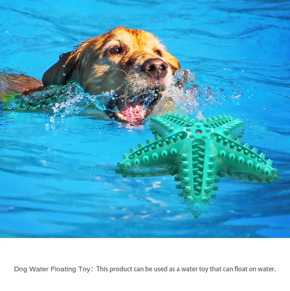 DTOPBUYAGE - Jouets pour chien en forme d'étoile de mer