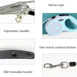 DTOPBUYAGE - Laisse rétractable 5 m pour chiens petit moyen taille vert