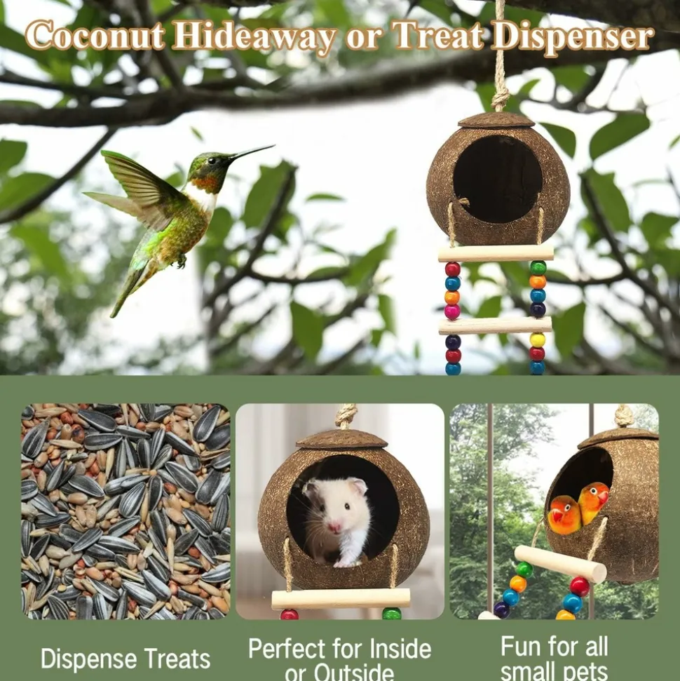 DTOPBUYAGE - Nid et jouet pour oiseaux et hamsters avec échelle