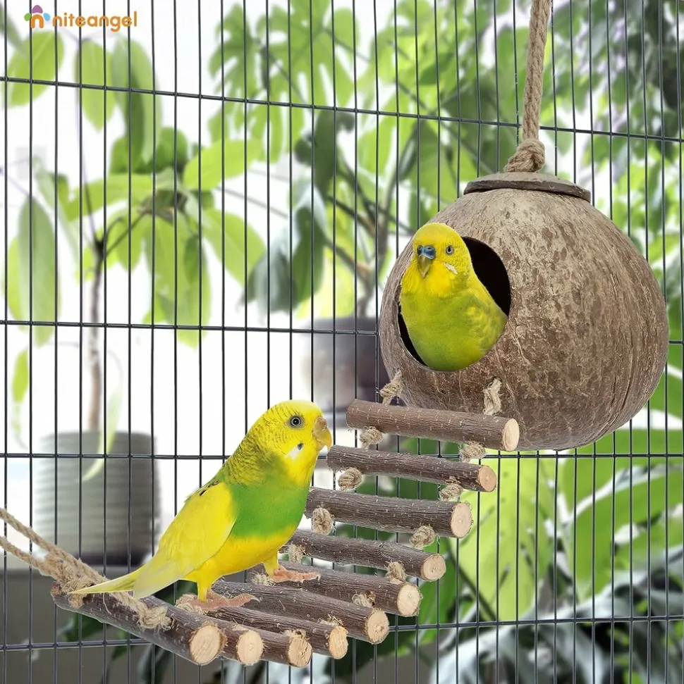 DTOPBUYAGE - Nid et jouet pour oiseaux et hamsters avec échelle