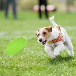 DTOPBUYAGE - 3 pack frisbees en caoutchouc naturel pour chien