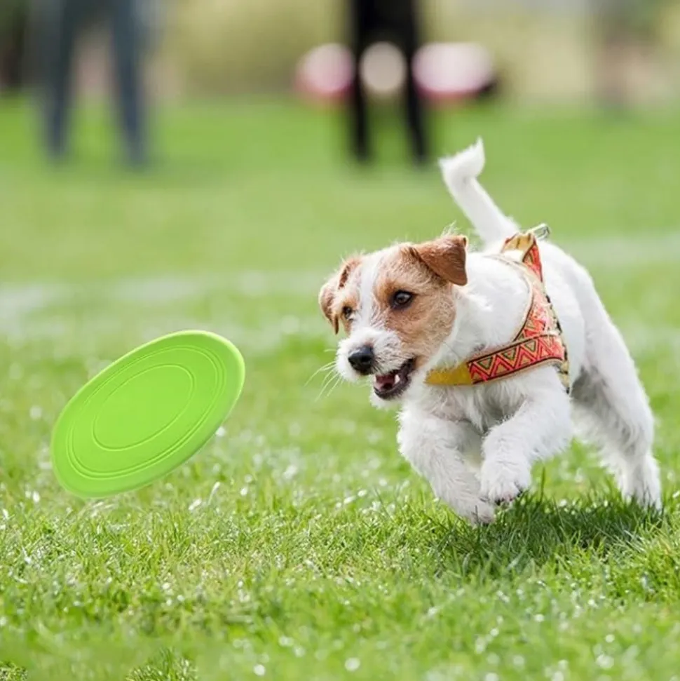 DTOPBUYAGE - 3 pack frisbees en caoutchouc naturel pour chien