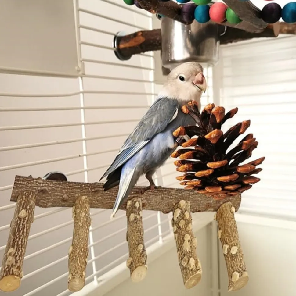 DTOPBUYAGE - Perchoir bois naturel etagé oiseaux