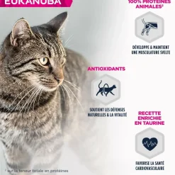 EUKANUBA - Eukanuba - pâtées sans céréales au poulet pour chat 85g