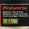 EXO TERRA - Alimentation vers de farine reptiles et amphibiens 34 g