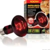 EXO TERRA - Ampoule chauffante pour terrarium - - basking spot - chaleur infrarouge - 100w