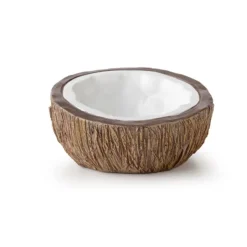 EXO TERRA - Bol à eau en forme de noix de coco reptiles
