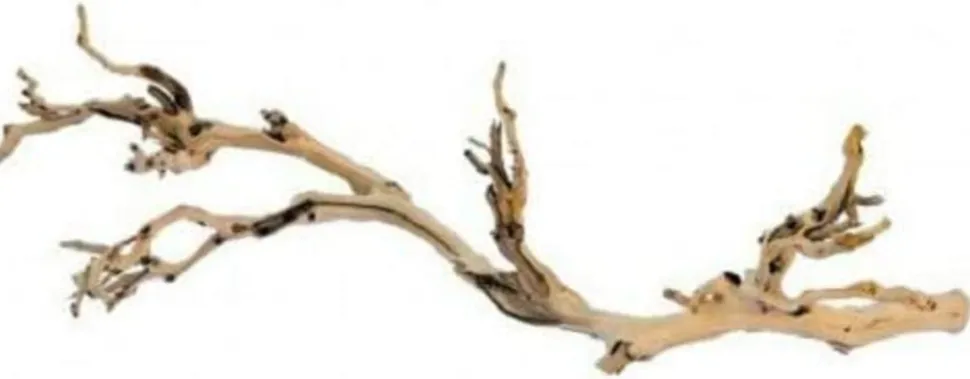 EXO TERRA - Branche de vigne sable reptiles petit
