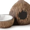 EXO TERRA - Cachette avec bol à eau noix de coco reptiles
