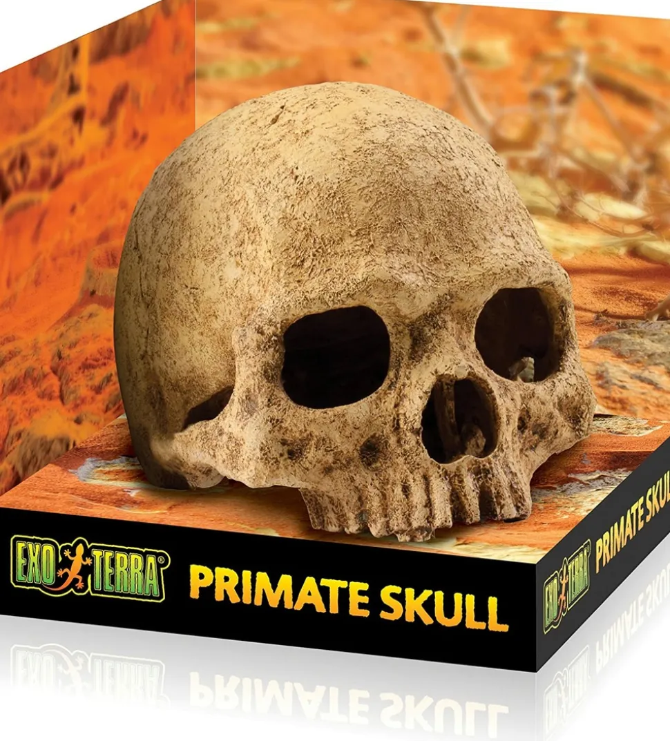 EXO TERRA - Crane primate décoration reptile amphibien grand