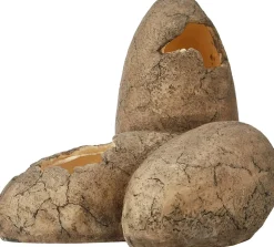 EXO TERRA - Exoterra cachette oeuf pour reptile moyen