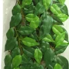 EXO TERRA - Feuillage ficus reptiles petit
