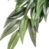 EXO TERRA - Plantes rainforest à suspendre feuillage ruscus grand