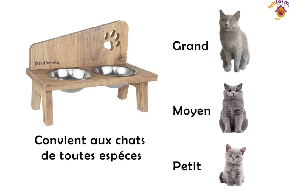 FELIFORMIA - Feliformia® Gamelle Chat 600ml Support en bois avec 2 Bols Gamelle Chat surélevée acier inoxydable Bol pour Chat et Petit Chien