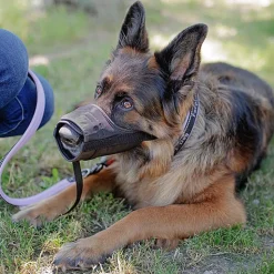Ferplast muselière pour chiens de taille grande safe large anti-morsures, nylon robuste, partie antérieure ouverte, rembourrage