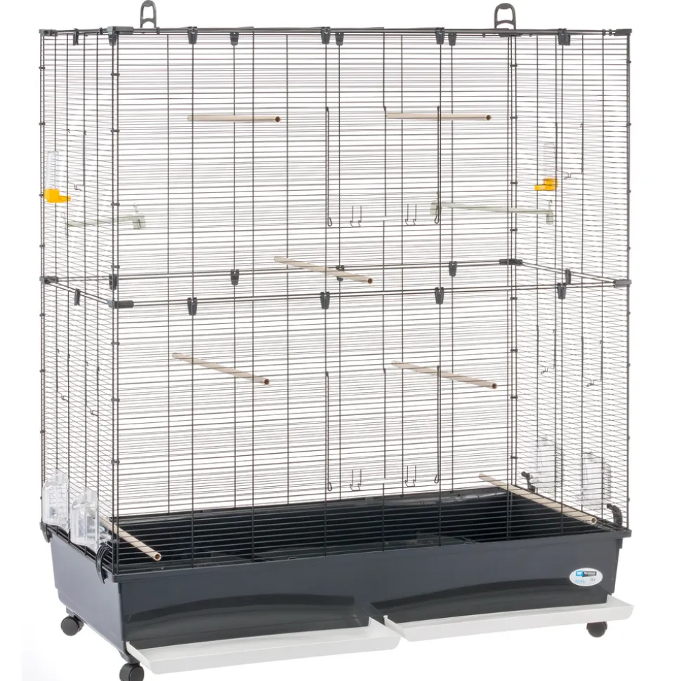 Ferplast volière cage à oiseaux planeta large grande cage pour canaris, pinsons, perruches ondulées, inséparables, métal,