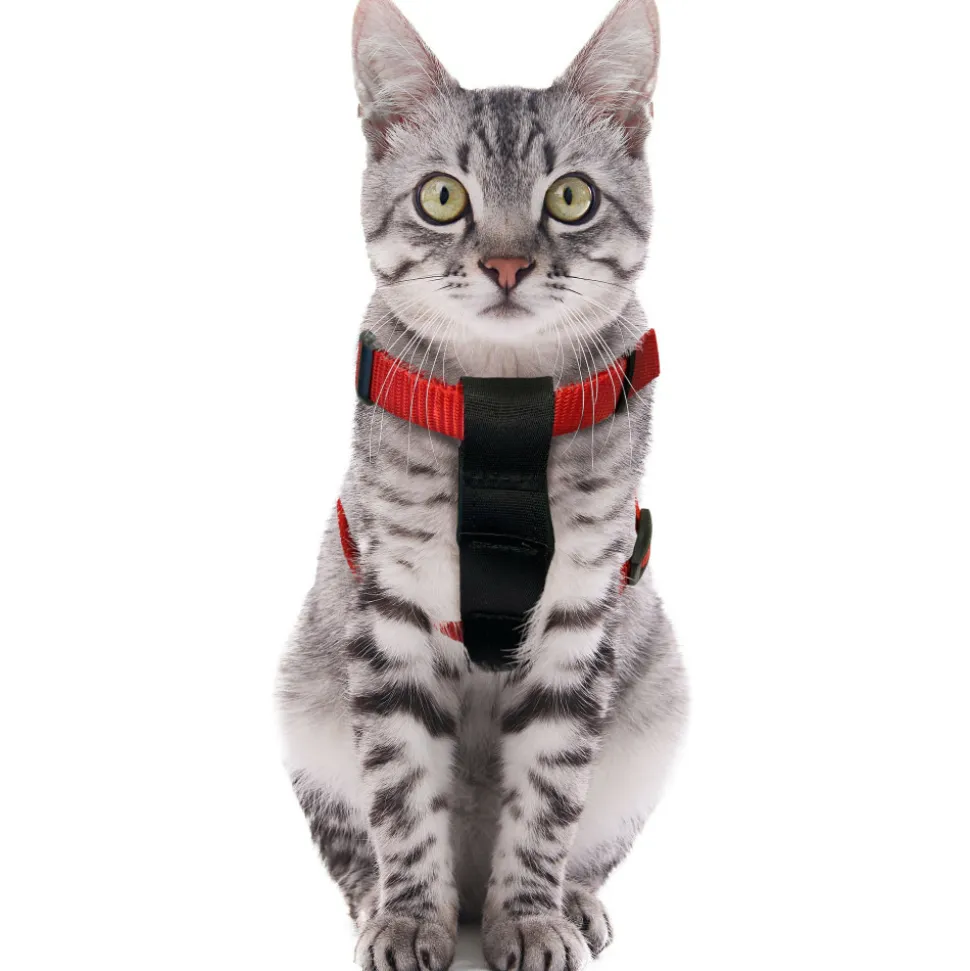 FLAMINGO - Harnais de sécurité voiture + laisse rouge 15 mm pour chat