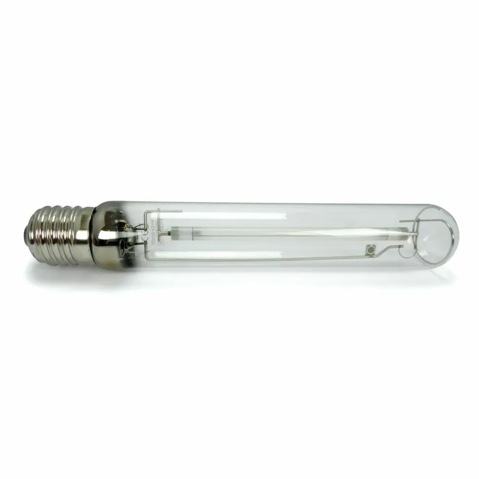 FLORASTAR - Ampoule hps 250w hro floraison