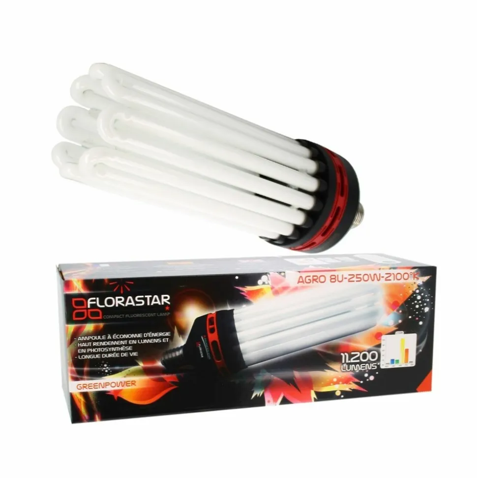 FLORASTAR - Lampe cfl 250w floraison 2100k°