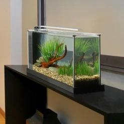 FLUVAL - Aquarium spec blanc 19l
