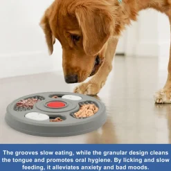 Gamelle slow food grise pour chien - mcboson - gamelles compatibles avec les cages pour chiens