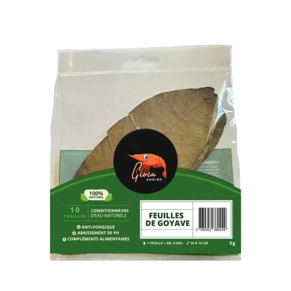 GIOIASHRIMP - 10 feuilles de goyave pour crevettes - 5g