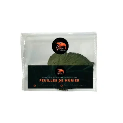 GIOIASHRIMP - 10 feuilles de mûrier pour crevettes - 5g