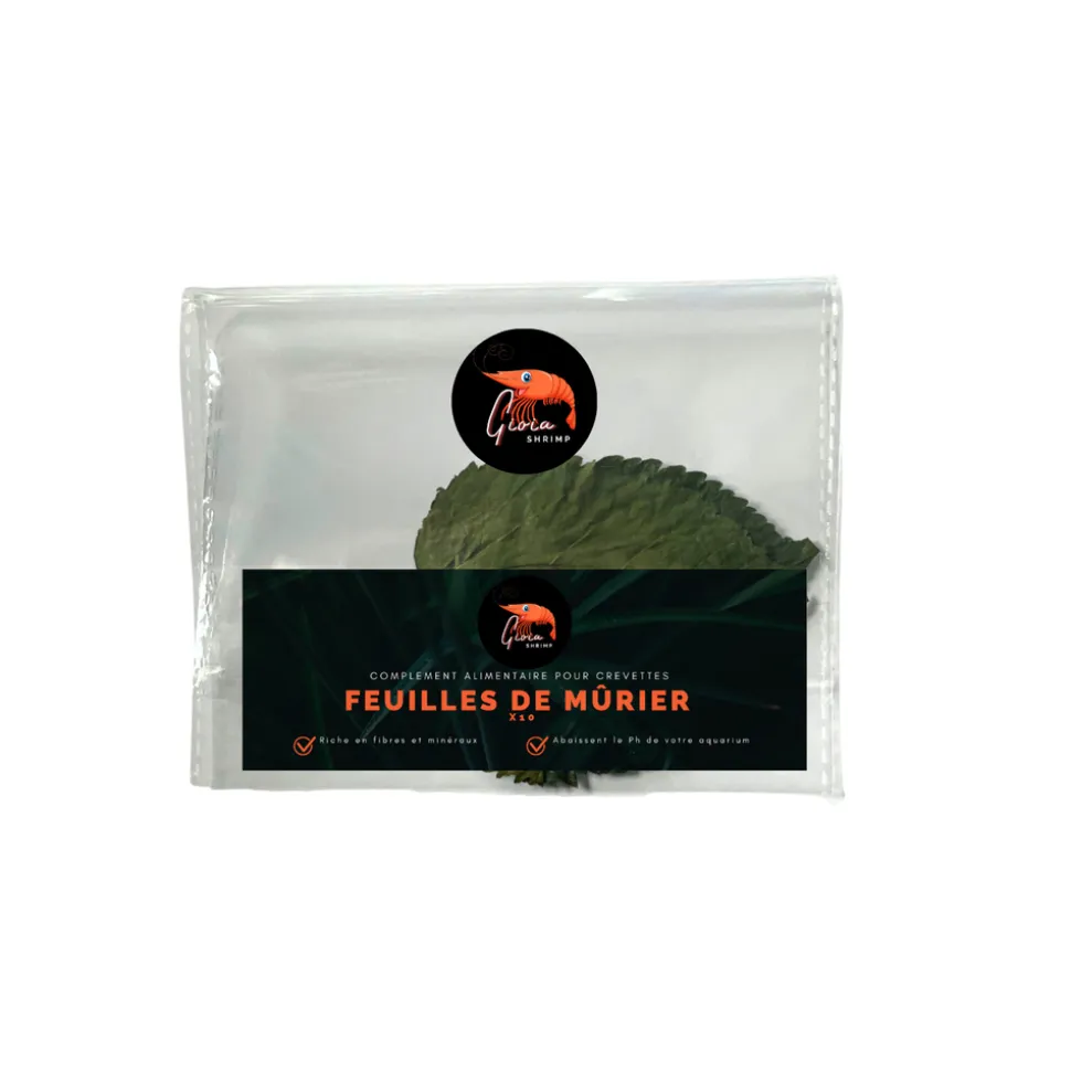 GIOIASHRIMP - 10 feuilles de mûrier pour crevettes - 5g