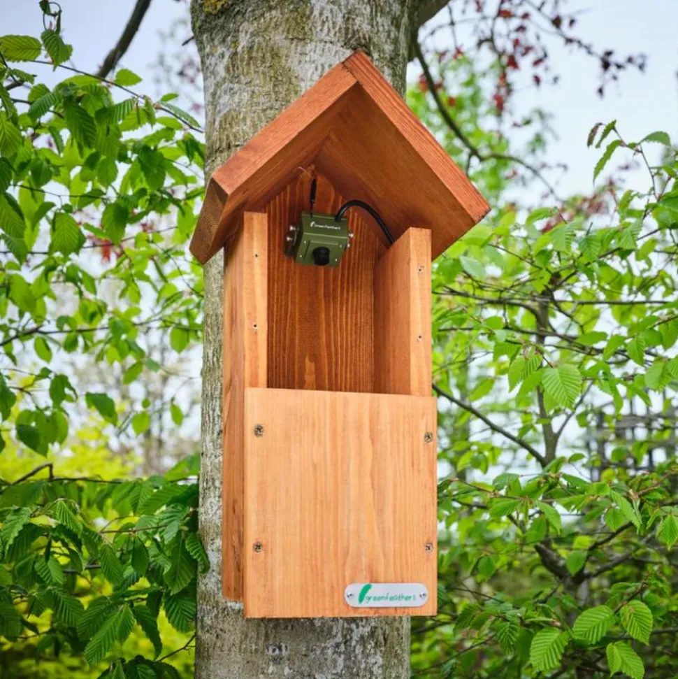 GREEN FEATHERS - Caméra wifi pour nichoir à oiseaux (avec cable 10 m inclus)