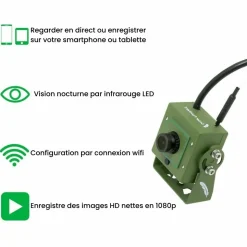 GREEN FEATHERS - Kit complet nichoir oiseaux avec caméra wifi