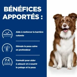 HILL'S - Croquettes chien adult prescription diets derm defense - hill's 12 kg