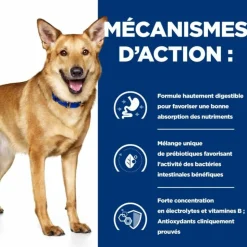 HILL'S - Croquettes chien adult prescription diets i/d digestive care - hill's 12 kg