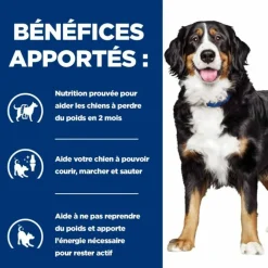 HILL'S - Croquettes chien adult prescription diets j/d metabolic + mobility - hill's 12 kg