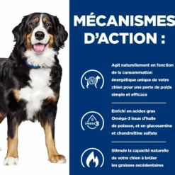 HILL'S - Croquettes chien adult prescription diets j/d metabolic + mobility - hill's 12 kg