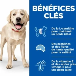 HILL'S - Croquettes chien science plan adulte light large poulet - hill's 18 kg