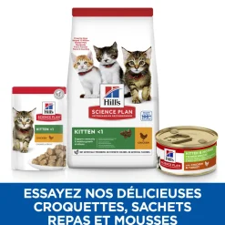 HILL'S - Mousse pour chaton et chatte gestante - poulet et dinde 85g