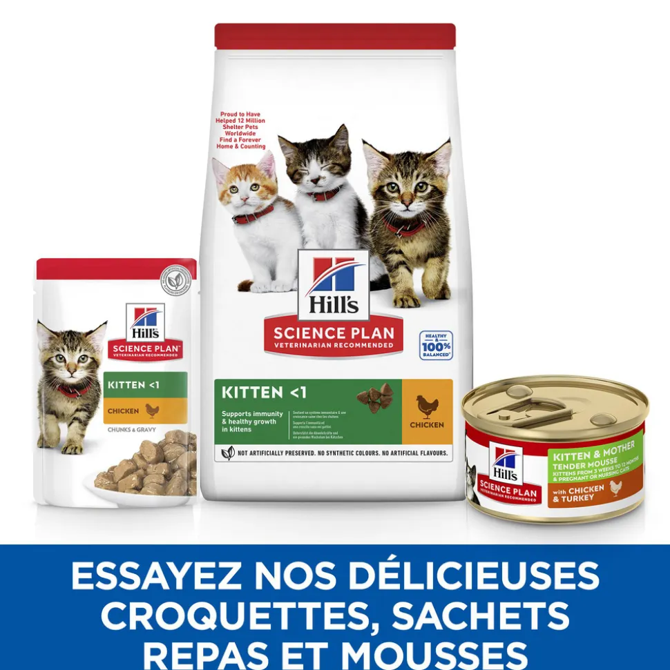 HILL'S - Mousse pour chaton et chatte gestante - poulet et dinde 85g