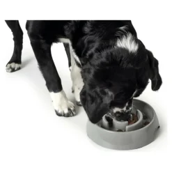 HUNTER - Mangeoire pour chiens mélamine 550 ml
