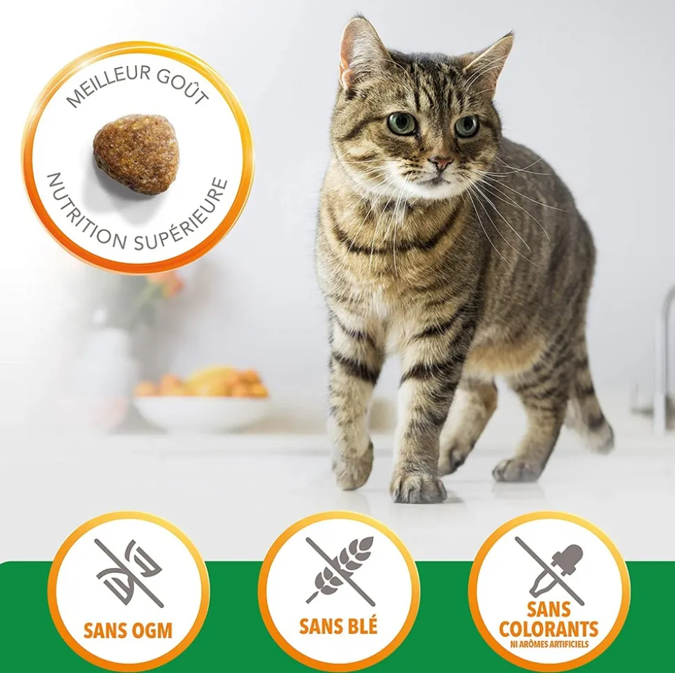 IAMS - Croquettes chat boule de poils - iams for vitality 10 kg