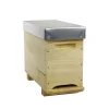 ICKO APICULTURE - Ruchette dadant 5 cadres