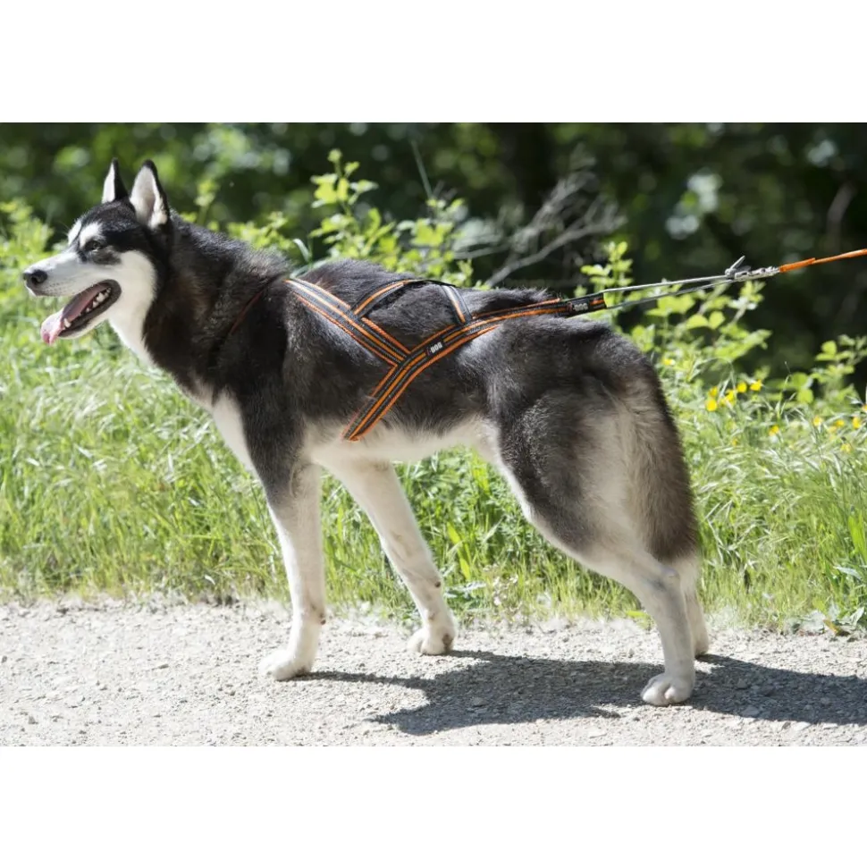 IDOG - Harnais de canicross pour chien X-Back One I-Dog L