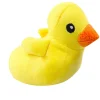 Jouet en peluche pour chien avec des motifs de fruits et d'animaux de dessin animé