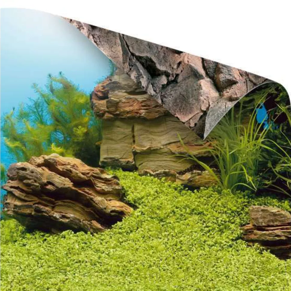 JUWEL - Juwel Poster L : 100 x 50 cm