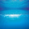 JUWEL - Poster de fond d'aquarium 2 xl : 150 x 60cm