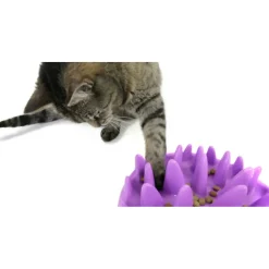 KARLIE - Gamelle plateau anti glouton 27 cm violet pour chat
