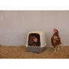 KERBL - Pondoir pour poules - kerbl - 52 x 39 x 39 cm